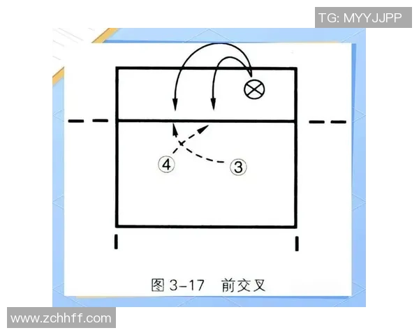 独家深度剖析西安排球队配合风格与战术对比解析
